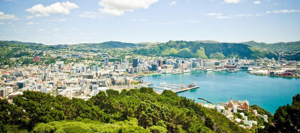 mount-victoria-view-wellingtonnz-CROP